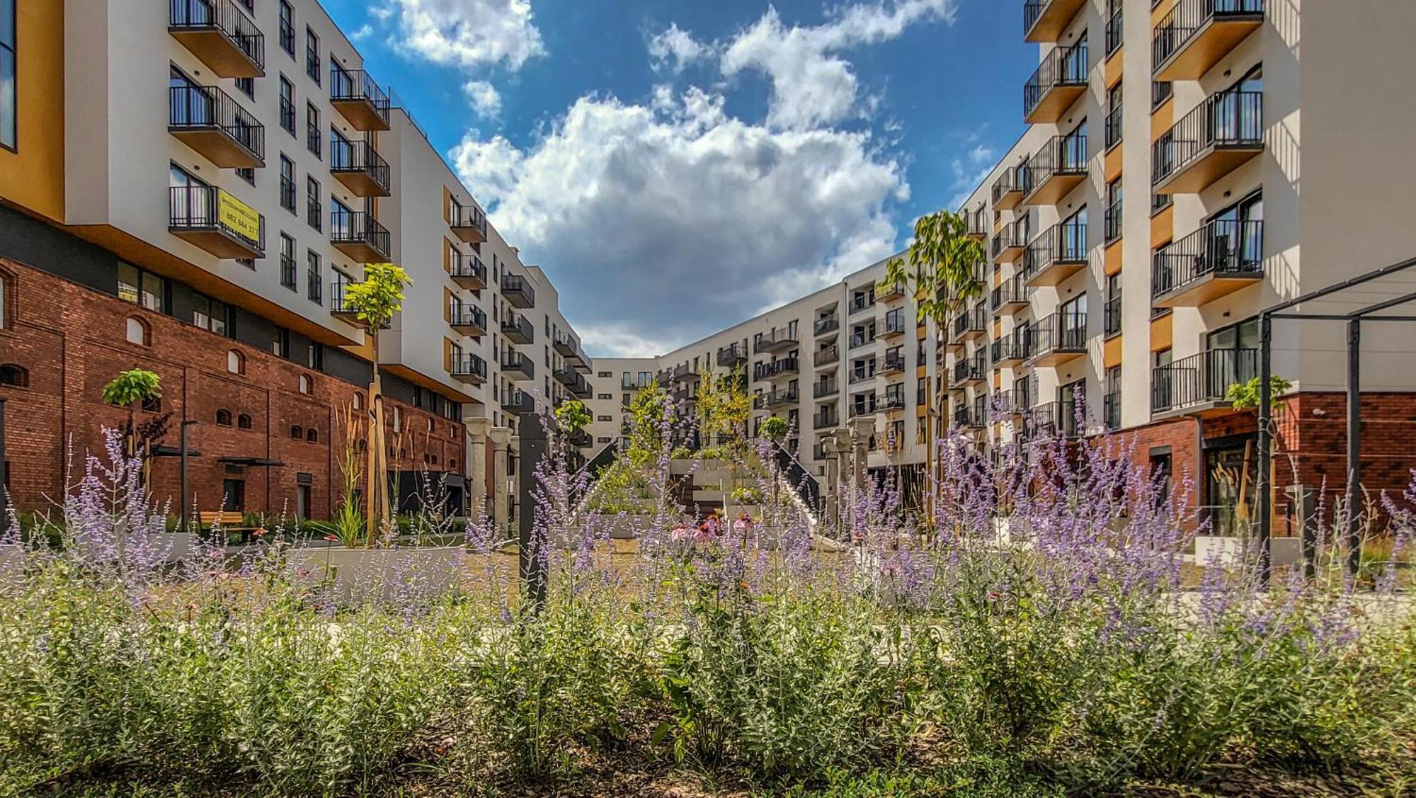 Rentplanet - Dmowskiego Apartament *